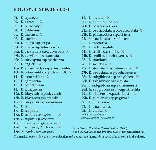 Eriosyce_ species l_ist _copy